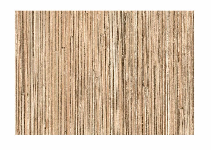 Купить столешница СОЮЗ 600*3050*38*1R*134М тростник | 89946 | Фурнитура ...