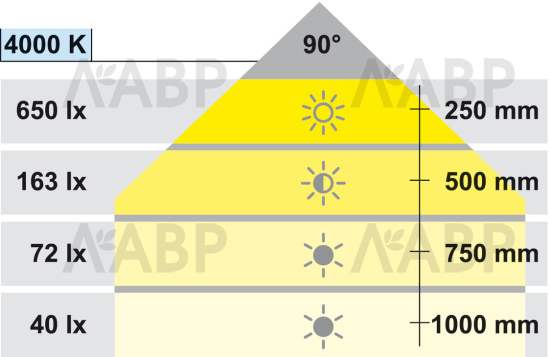 Светильник светодиодный гибкий LOOX LED2034 с USB портом, черный 833.74.097 Hafele / 49747 / оптом и в розницу / мебельная фурнитура "ЛАВР"