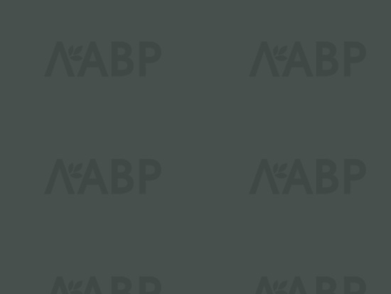 панель AGT 18*1220*2800/3027 форест грин супермат/AGT4561/3027 / 35162 / оптом и в розницу / мебельная фурнитура "ЛАВР"