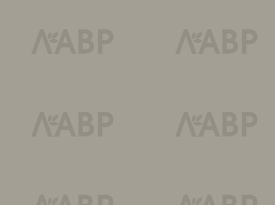 панель AGT 18*1220*2800/732 бежевый супермат/AGT4570/732 / 35039 / оптом и в розницу / мебельная фурнитура "ЛАВР"