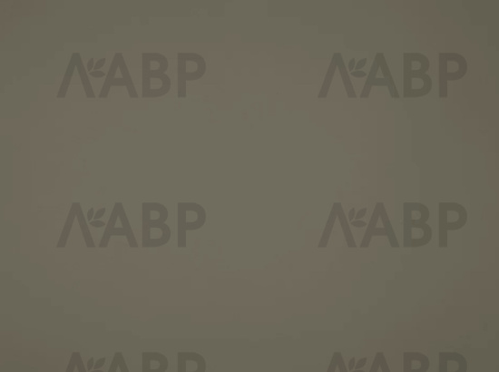 панель AGT 18*1220*2800/740 суперматовый бежево-серый/AGT4570/740 / 35415 / оптом и в розницу / мебельная фурнитура "ЛАВР"