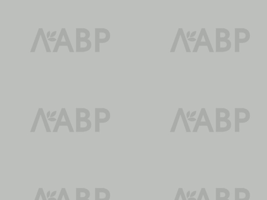 панель AGT 18*1220*2800/3021 серый лед супермат/AGT4561/3021 / 35076 / оптом и в розницу / мебельная фурнитура "ЛАВР"