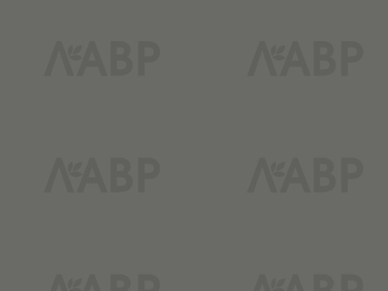 панель AGT 18*1220*2800/3024 серая галька супермат/AGT4561/3024 / 35063 / оптом и в розницу / мебельная фурнитура "ЛАВР"