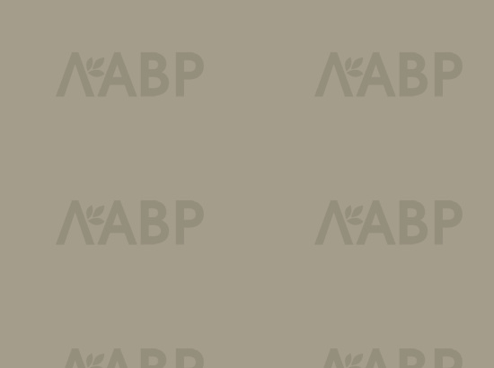 панель AGT 18*1220*2800/729 новый серый супермат/AGT4570/729 / 35060 / оптом и в розницу / мебельная фурнитура "ЛАВР"