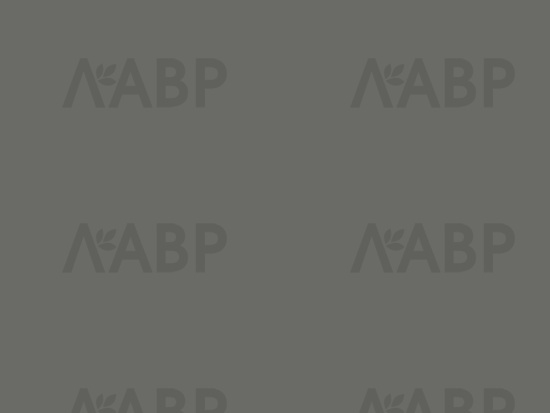 AGT фасад МДФ Supramat серая галька 3024 (Pebble Grey) / AGT4561/3024 / 66092 / оптом и в розницу / мебельная фурнитура "ЛАВР"